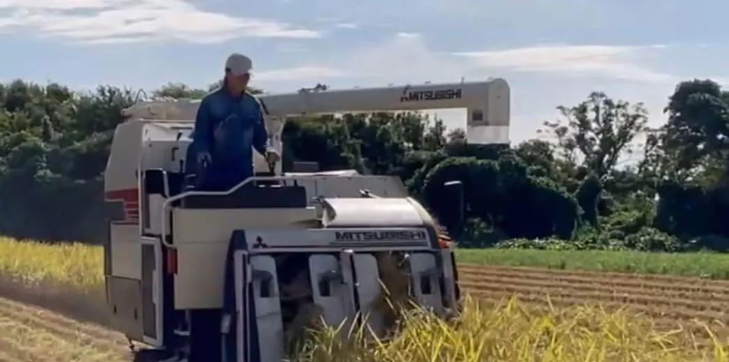 山下農園について