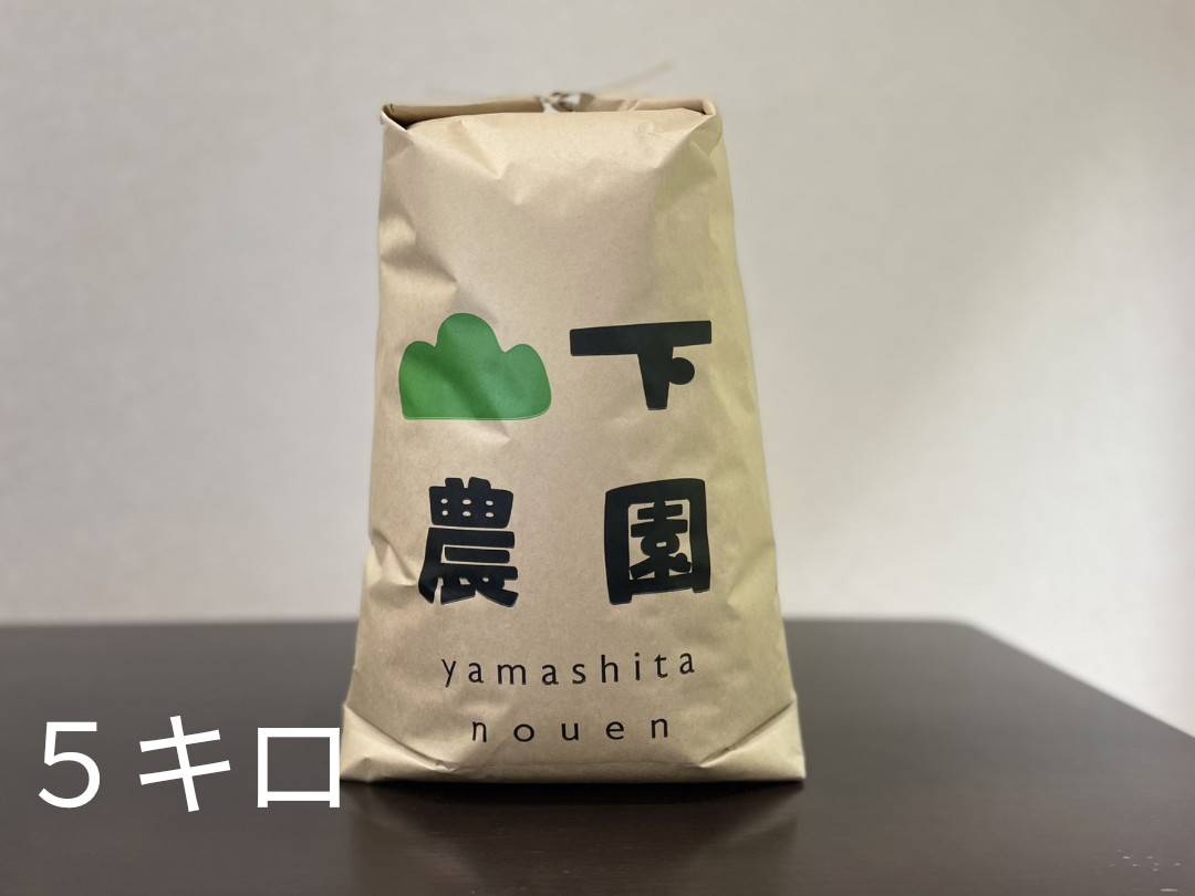 【無洗米5kg】令和7年 佐渡産 こしひかり 5割減減特別栽培米